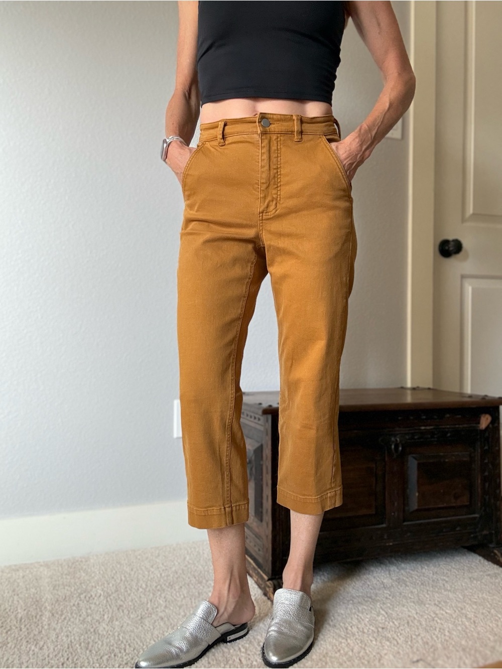 Everlane Cropped Straight Pant sz 2